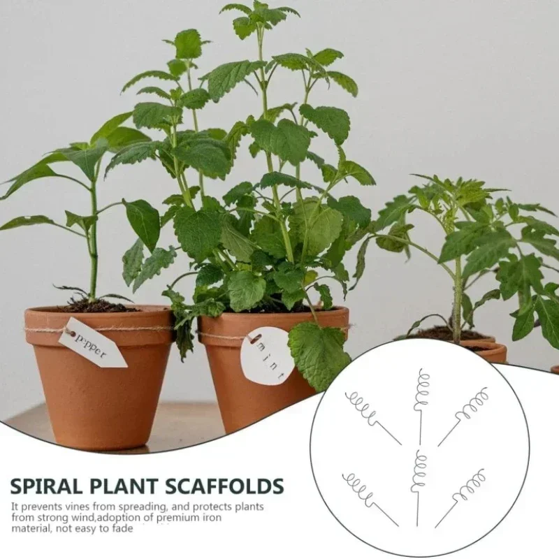 Bonsai Gardening - Climbing Plant Support Stake Stand Climbing