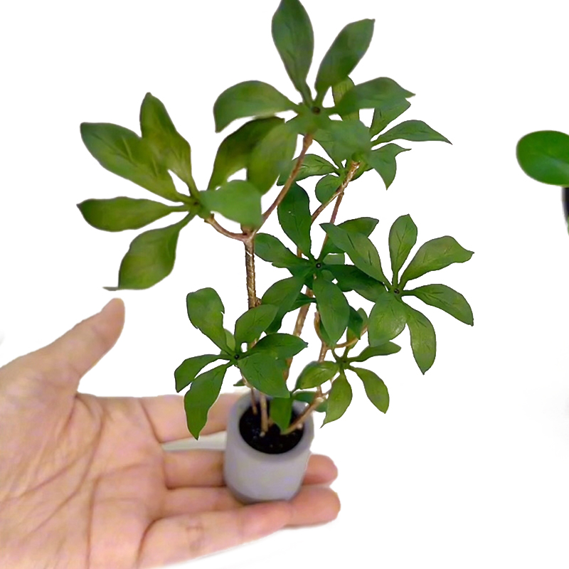 Bonsai Garden Europe - 1:6 Dollhouse Miniature Potted Plants Model