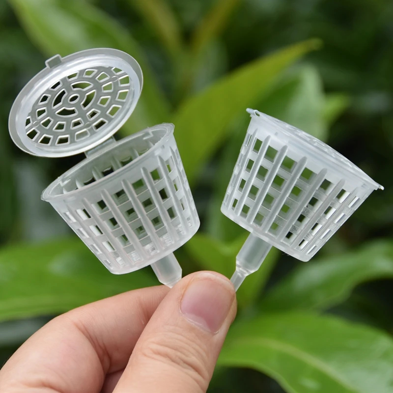 Bonsai Garden Of Ct - 20/50Pcs Fertilizer Basket With Lid, Plant