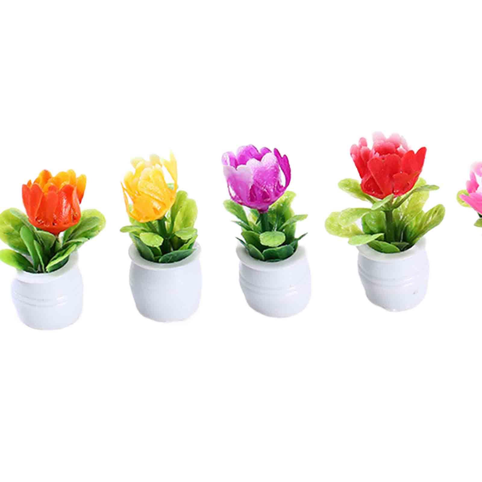 Bonsai Garden Europe - 5Pcs 1:12 Dollhouse Miniature Flower Pot