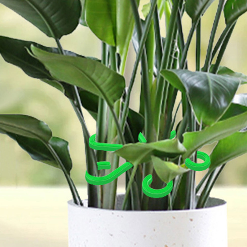 Bonsai Gardening - 12Pcs Plant Stem Holders Plastic Support