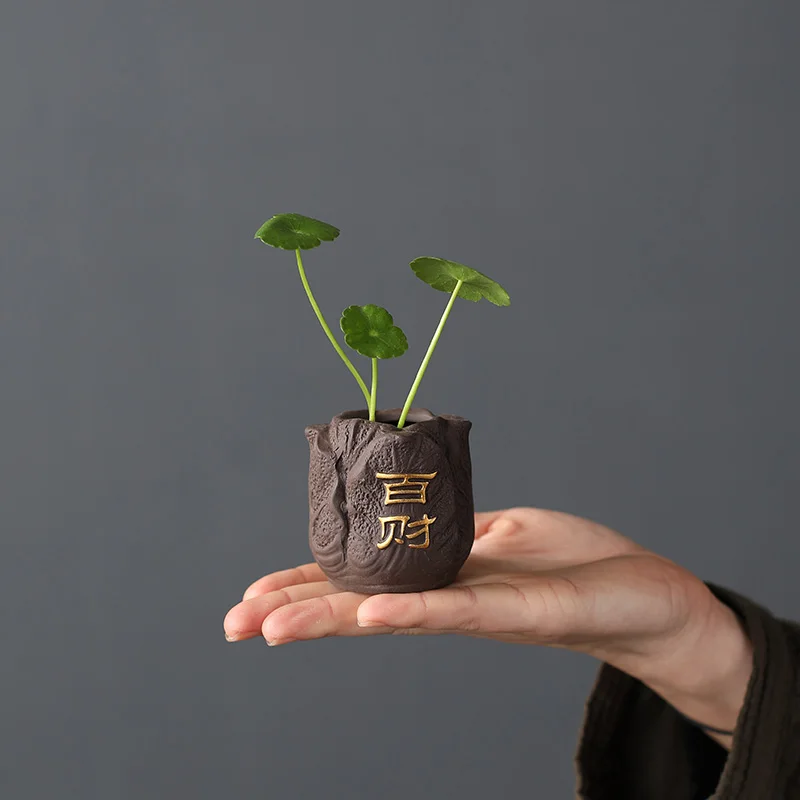 Sáng Tạo Tím Đất Sét Trà Thú C - đánh giá và giá Bonsai Garden Pot