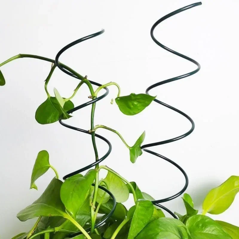 Climbing Plant Support Stake S - đánh giá và giá Bonsai Gardening