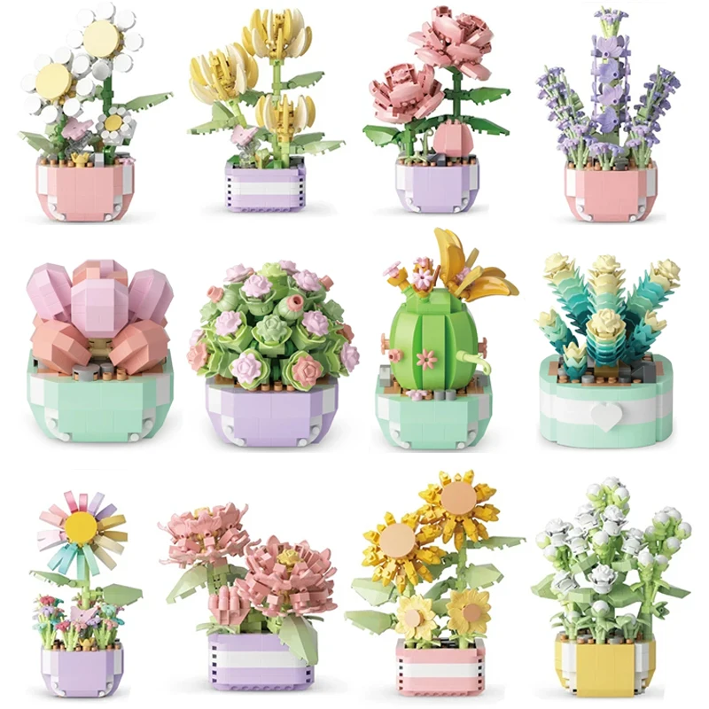 Flower Succulents Building Blo - đánh giá và giá Bonsai Garden Pot
