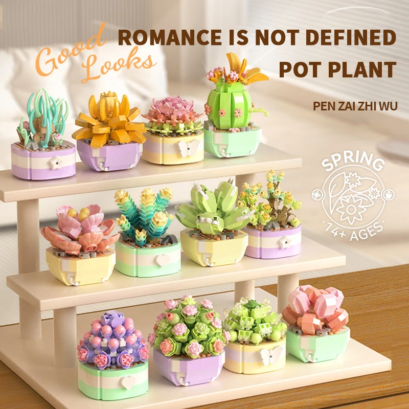 Flower Succulents Building Blo - đánh giá và giá Bonsai Garden Pot