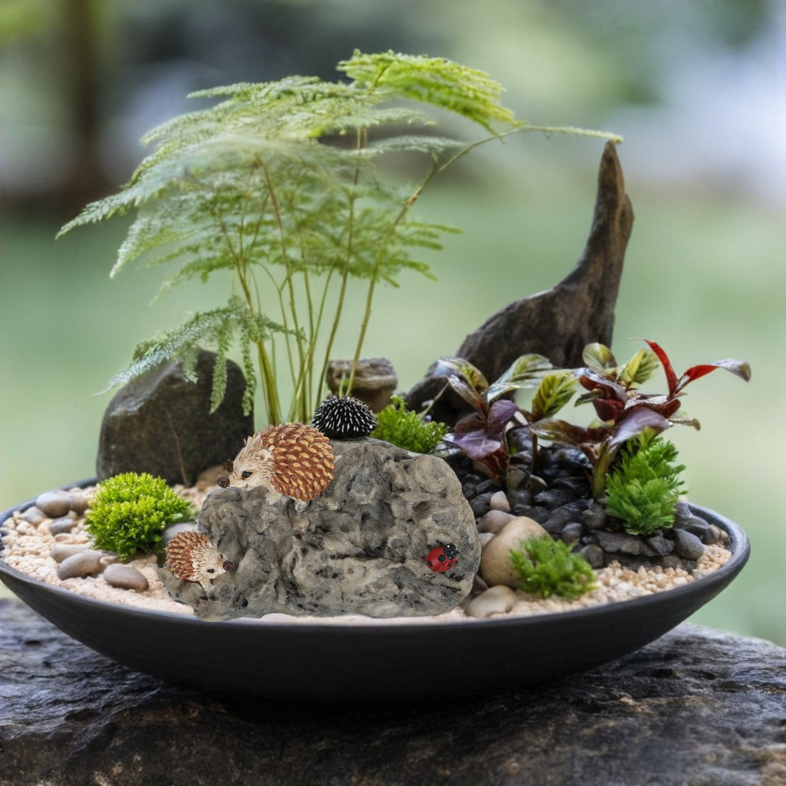 Mini Hedgehog Garden Statue Re - đánh giá và giá Bonsai Garden Pot