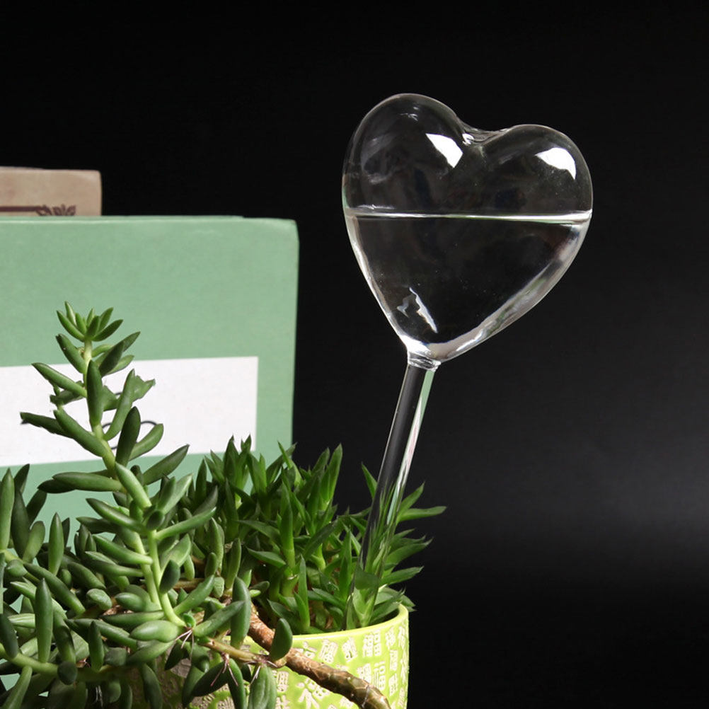 3Pcs Heart Shaped Glass Self W - đánh giá và giá Bonsai Garden Pot