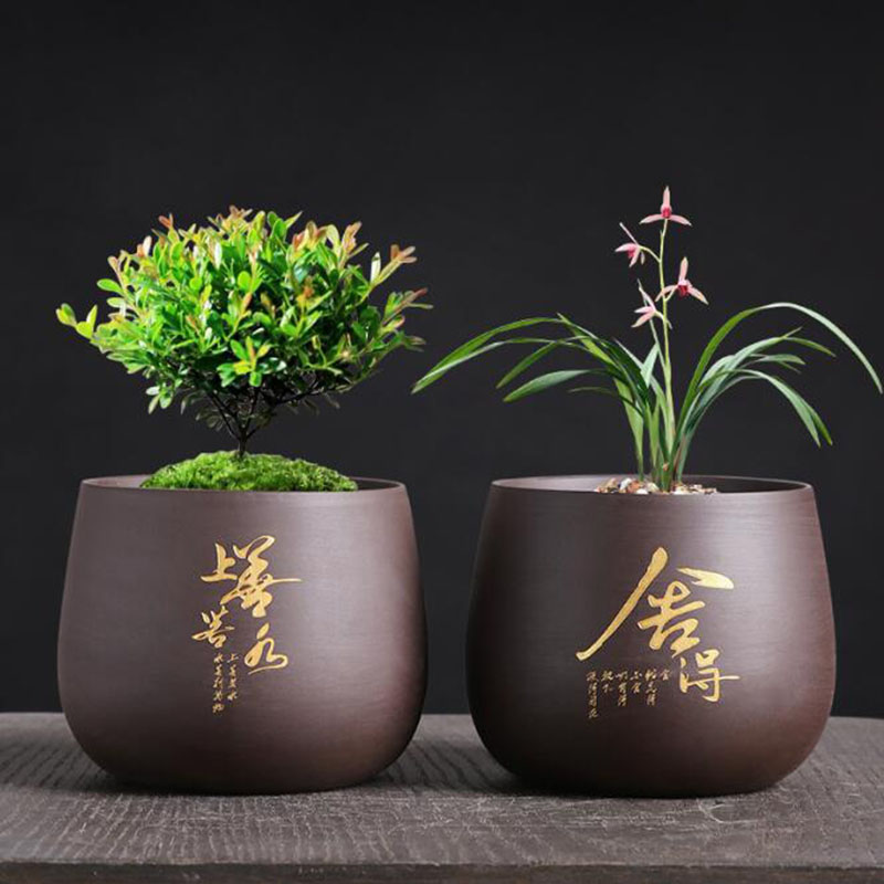 Chinese Style Purple Clay Flow - đánh giá và giá Bonsai Garden Europe