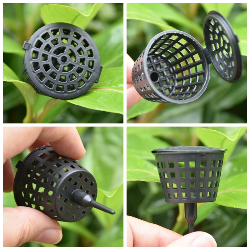 20/50Pcs Fertilizer Basket Wit - đánh giá và giá Bonsai Garden Of Ct