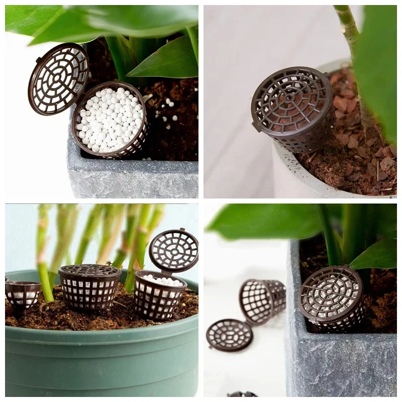 20/50Pcs Fertilizer Basket Wit - đánh giá và giá Bonsai Garden Of Ct