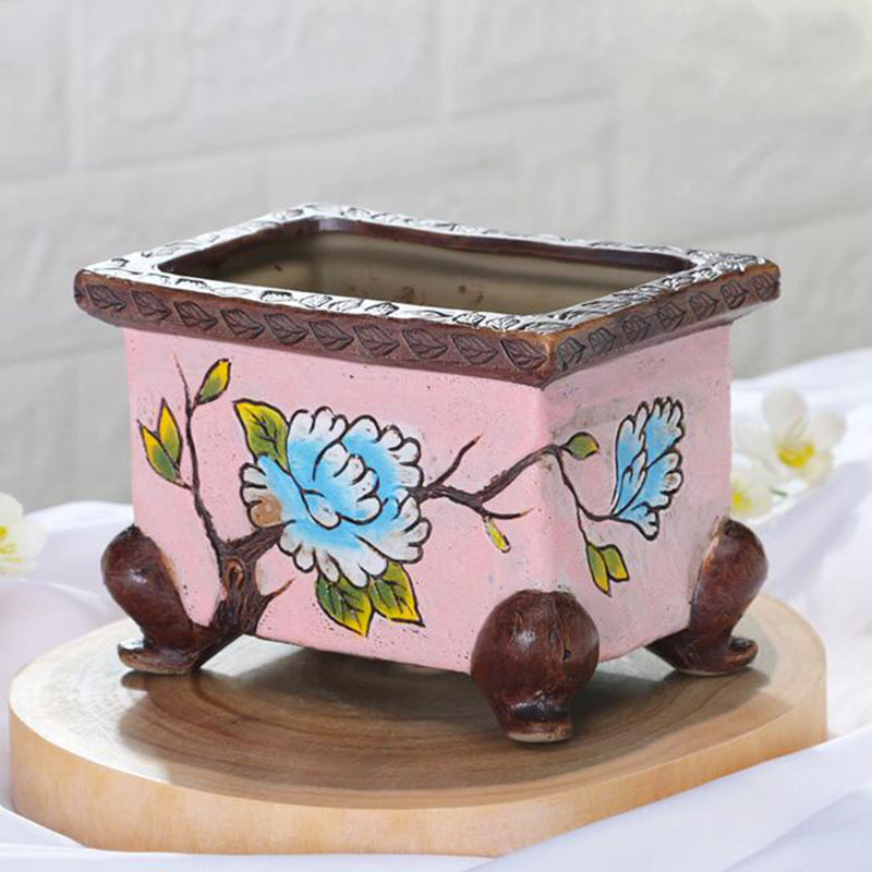 Korean Style Handpainted Flora - đánh giá và giá Bonsai Garden Europe