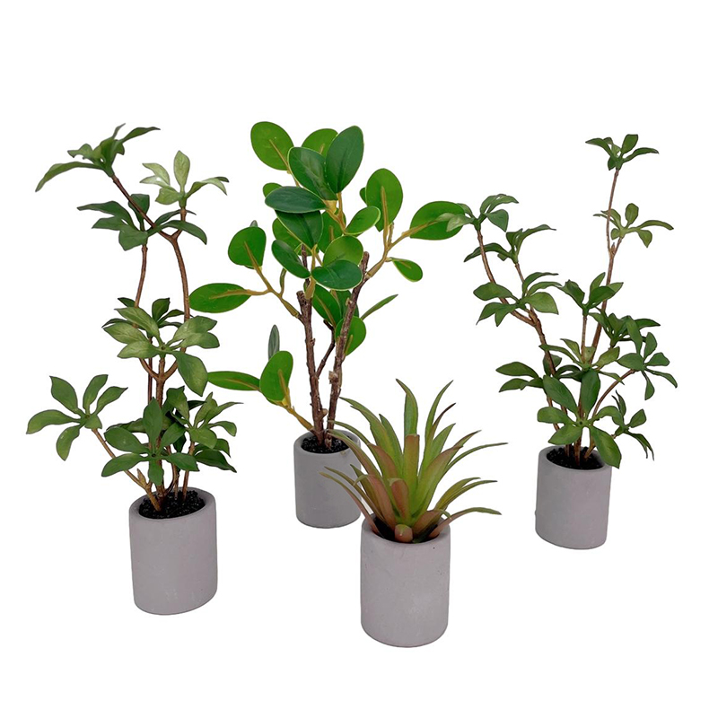 1:6 Dollhouse Miniature Potted - đánh giá và giá Bonsai Garden Pot