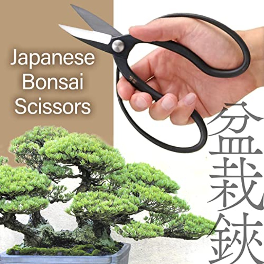 Japanese Suiryu Bonsai Scissor - đánh giá và giá Bonsai Garden Japan