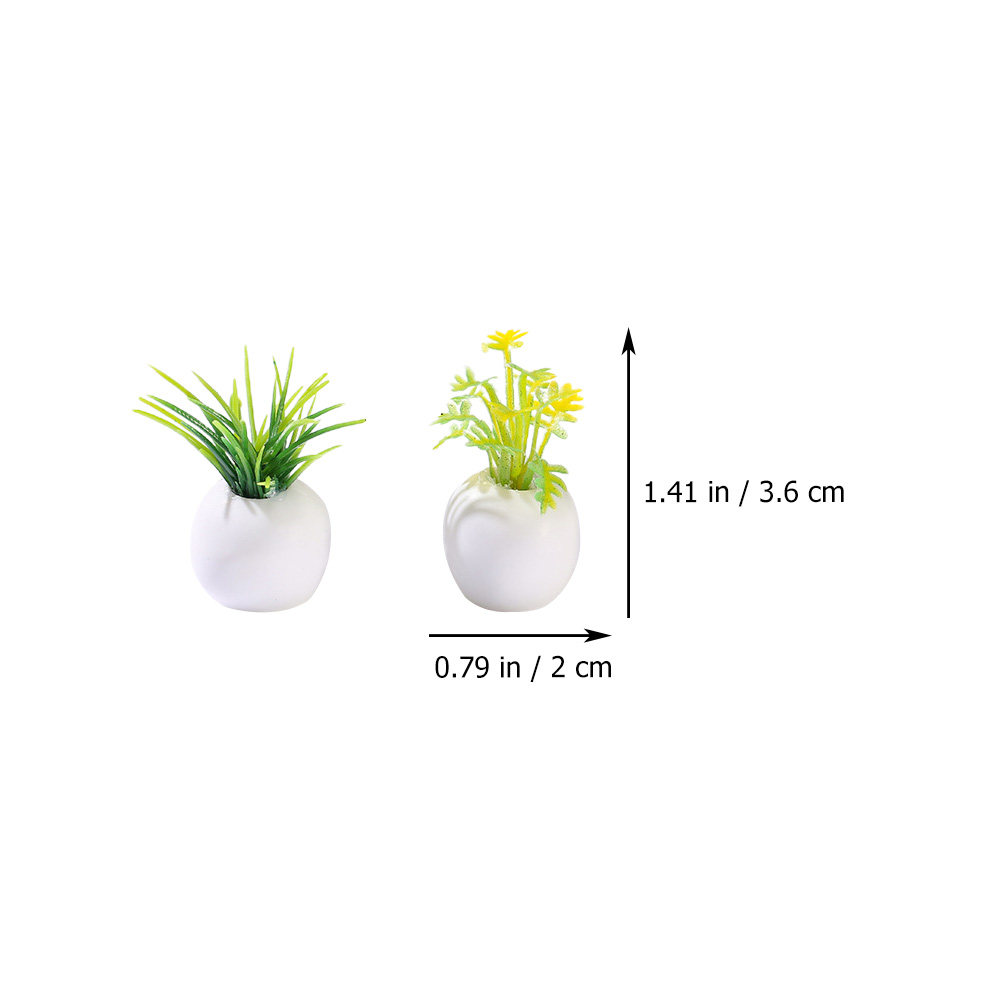 12Pcs Miniature Potted Plants  - đánh giá và giá Bonsai Garden Europe
