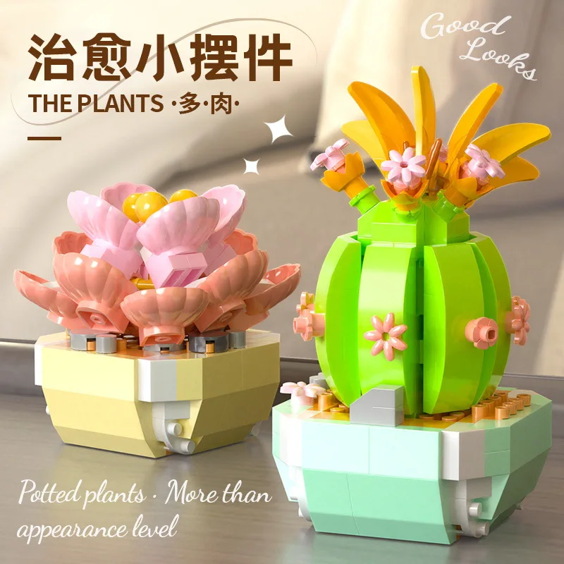 Flower Succulents Building Blo - đánh giá và giá Bonsai Garden Pot