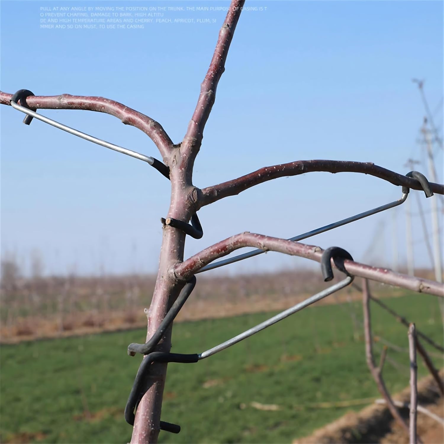 Adjustable Fruit Tree Branch S - đánh giá và giá Bonsai Gardening
