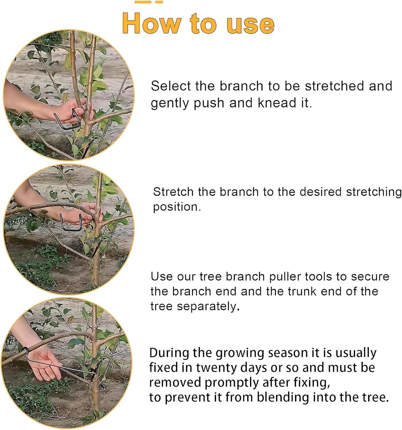 Adjustable Fruit Tree Branch S - đánh giá và giá Bonsai Gardening