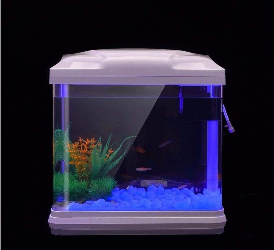 Fish Tank Rocks Glow Blue Pebb - đánh giá và giá Bonsai Garden Pot