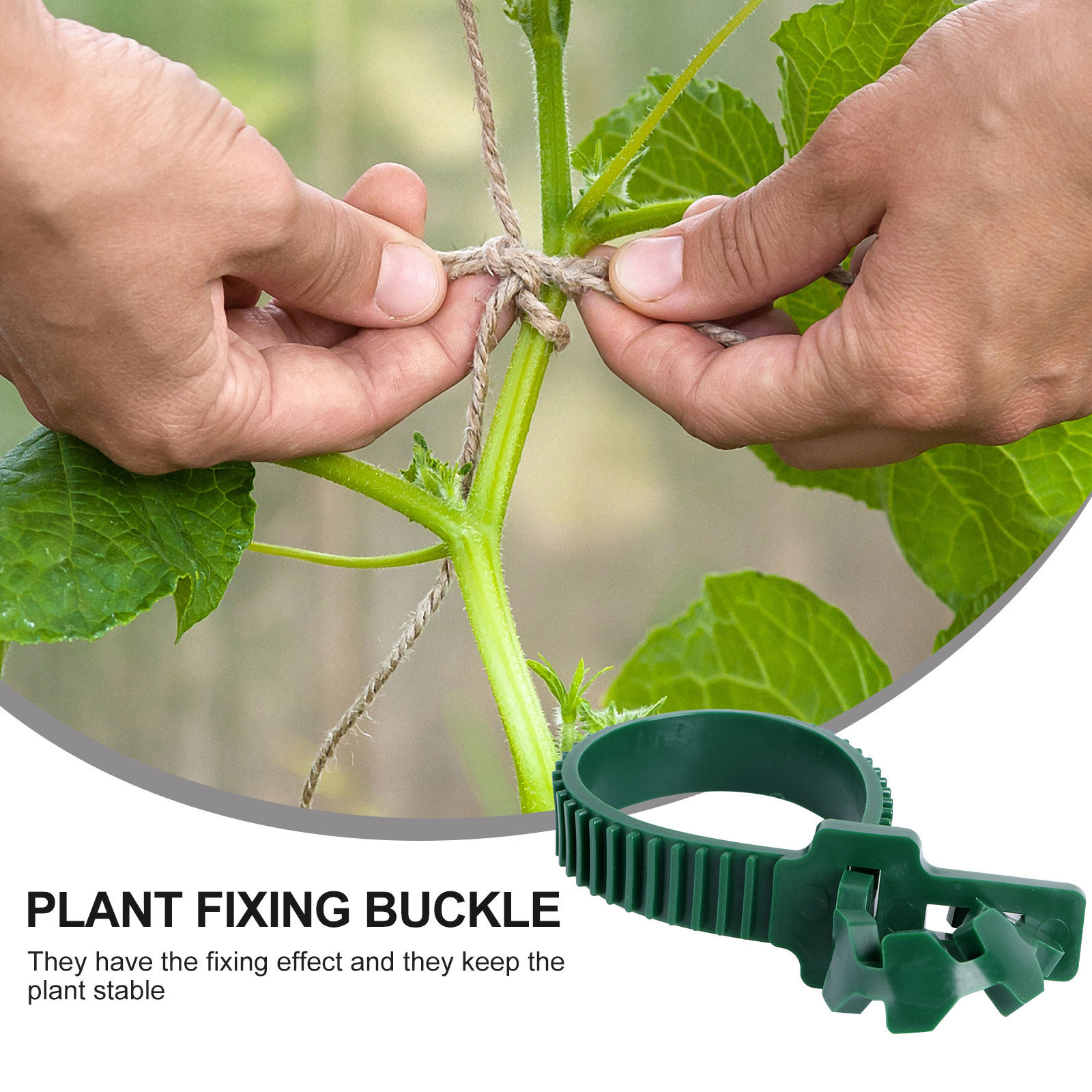 20Pcs Vine Fixing Buckle Plant - đánh giá và giá Bonsai Gardening