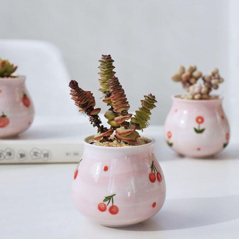 Màu Hồng Dễ Thương Bé Gái Trái - đánh giá và giá Bonsai Garden Europe