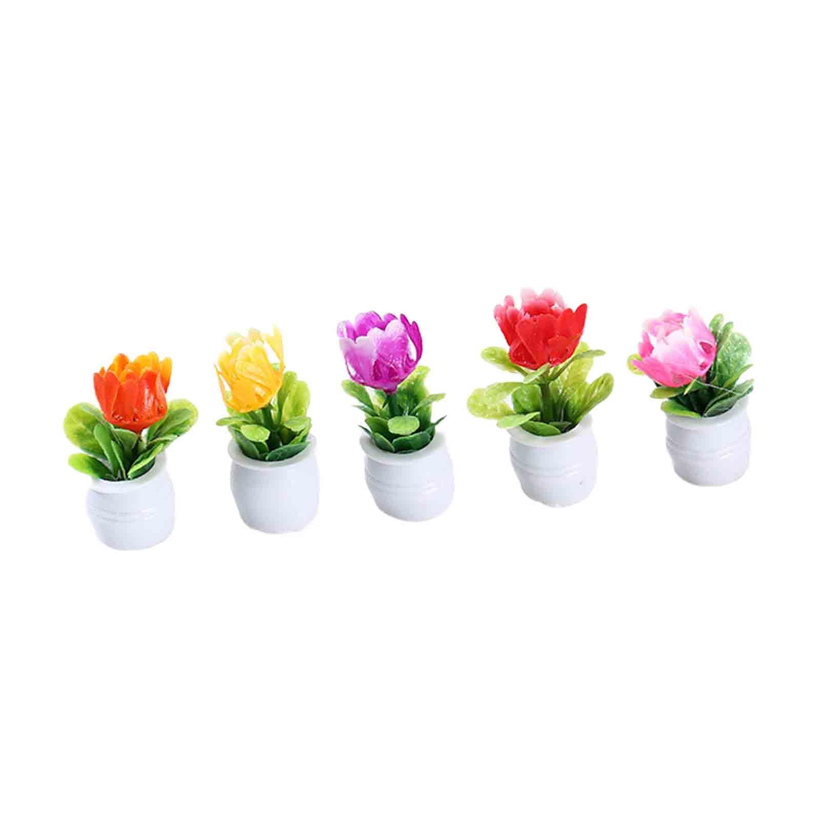 5Pcs 1:12 Dollhouse Miniature  - đánh giá và giá Bonsai Garden Europe