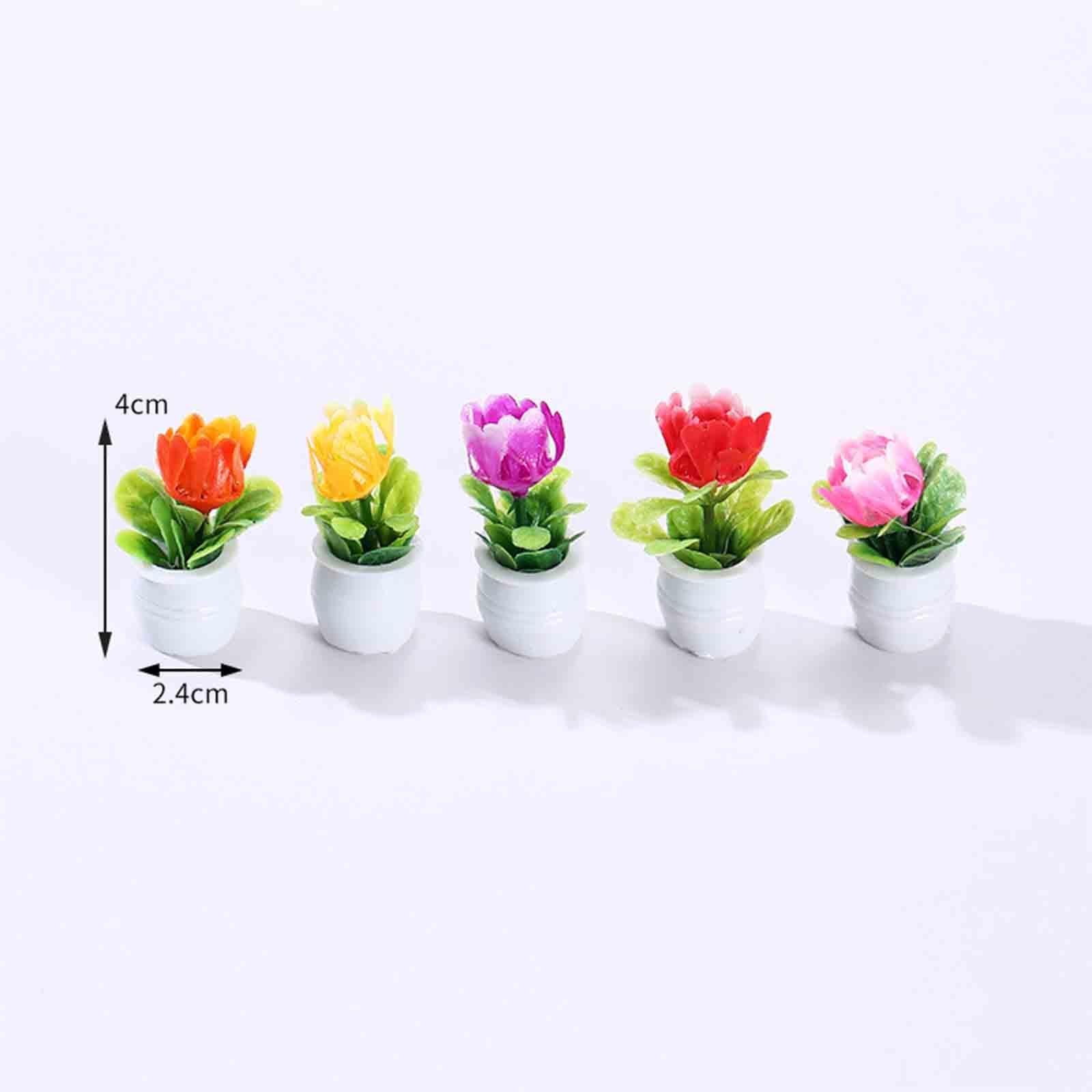 5Pcs 1:12 Dollhouse Miniature  - đánh giá và giá Bonsai Garden Europe