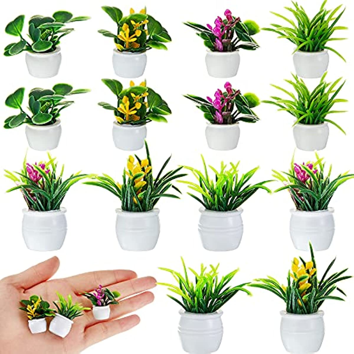 Dollhouse Plant, Miniature Bon - đánh giá và giá Bonsai Garden Pot