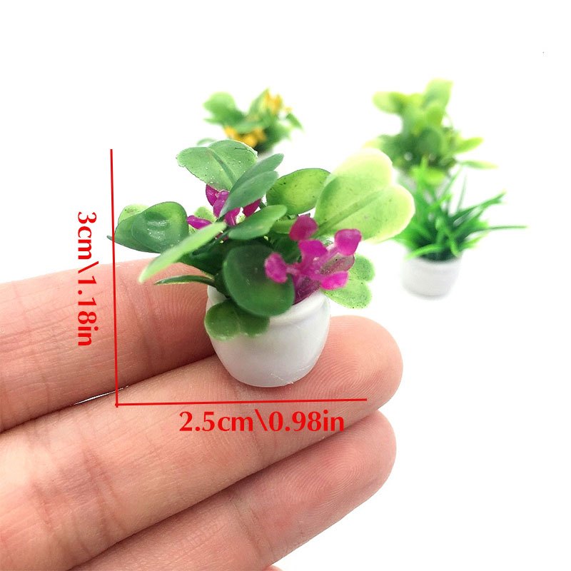 Dollhouse Plant, Miniature Bon - đánh giá và giá Bonsai Garden Pot