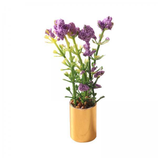 Miniature Potted Plant Ornamen - đánh giá và giá Bonsai Garden Europe