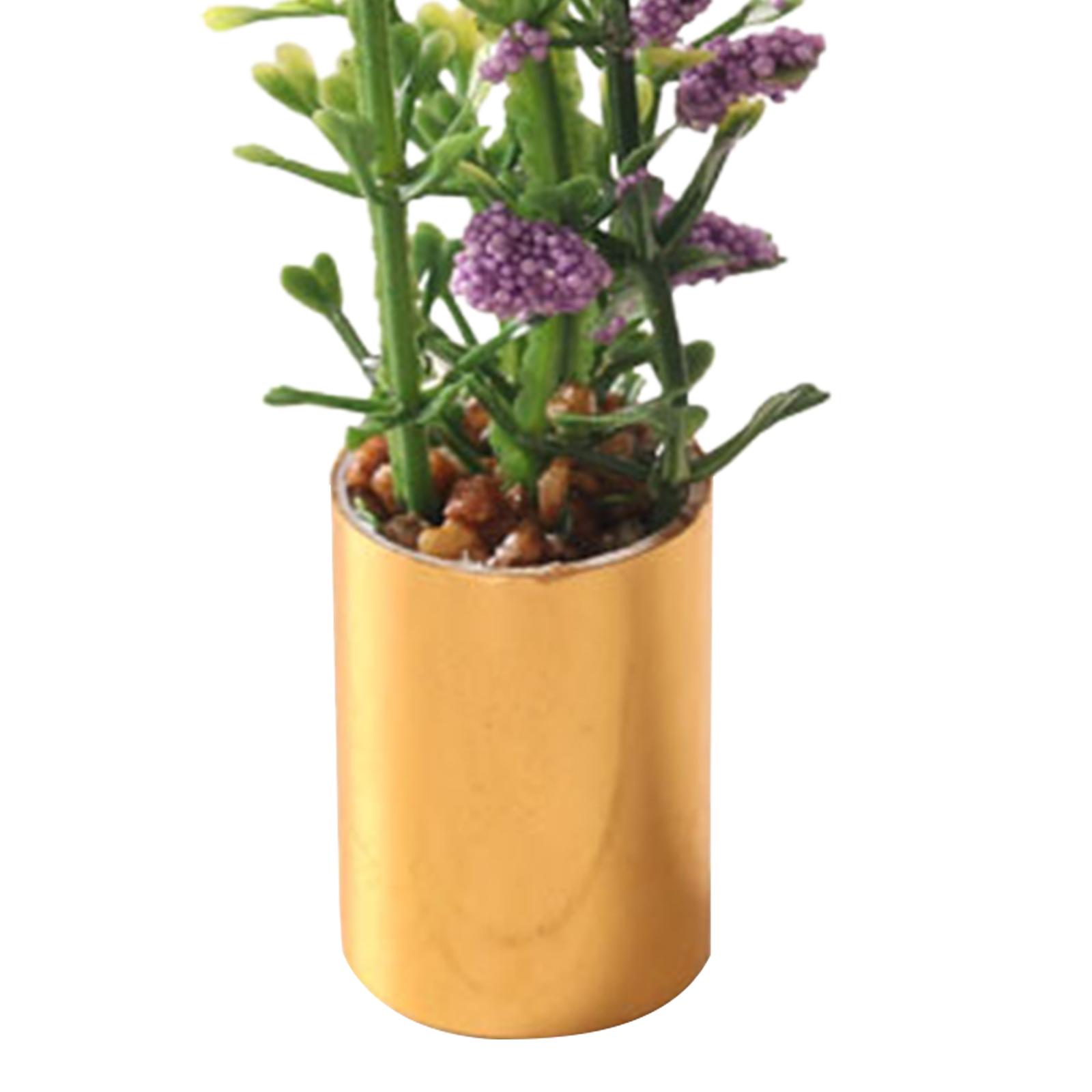 Miniature Potted Plant Ornamen - đánh giá và giá Bonsai Garden Europe