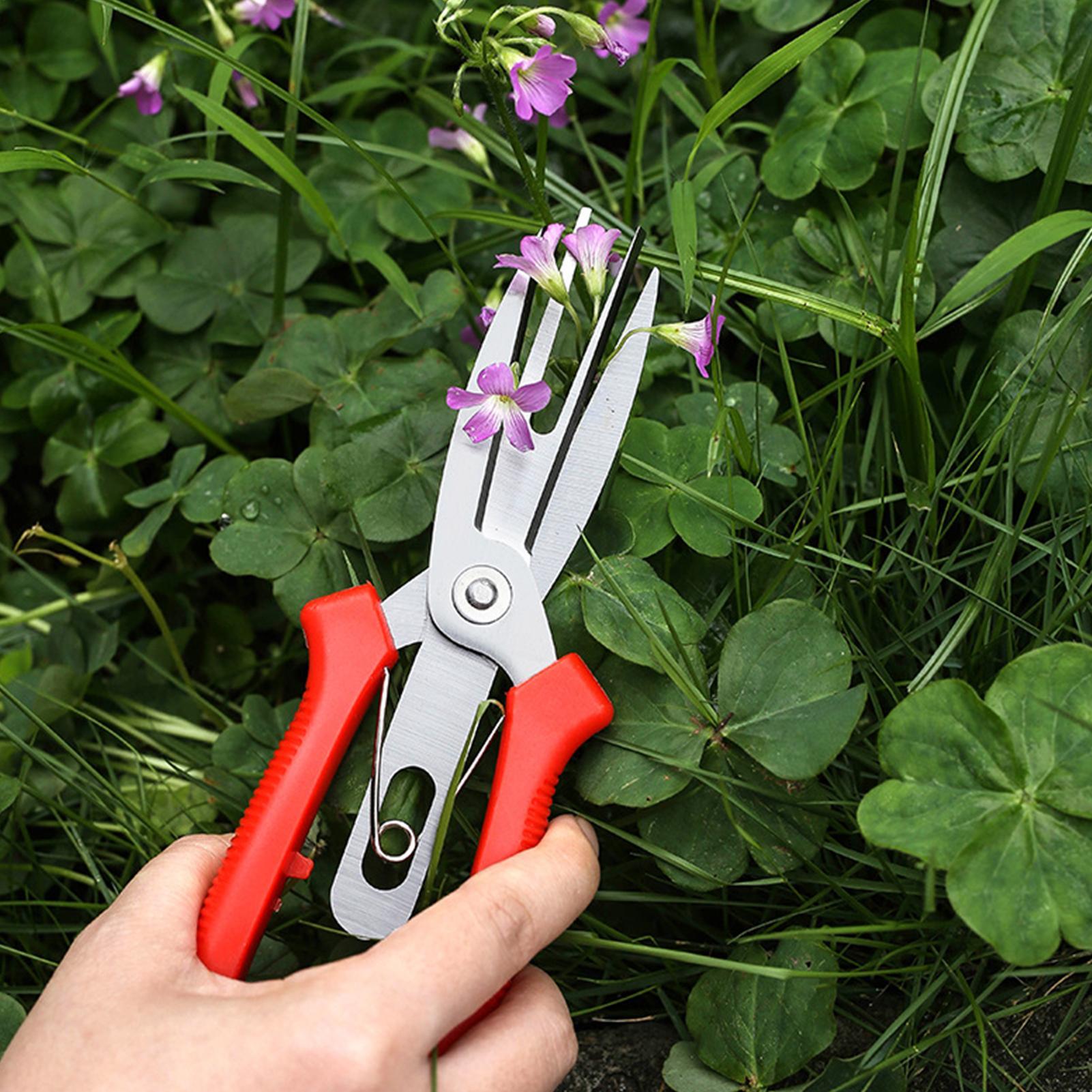 Garden Shears Stainless Steel  - đánh giá và giá Bonsai Gardening