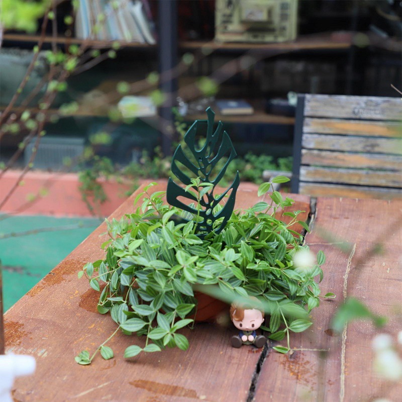 Plant Climbing Support Stand F - đánh giá và giá Bonsai Garden Pot