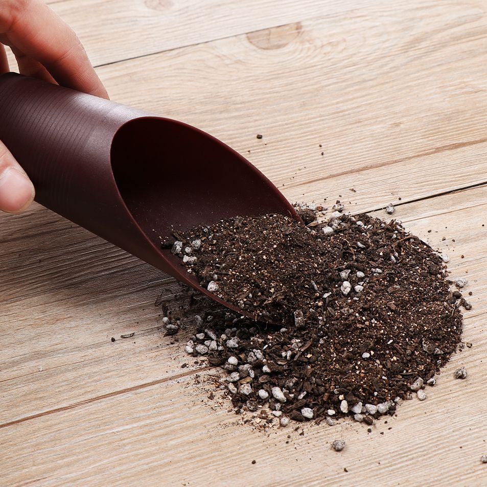 1PC Plastic Soil Shovel Cup Fo - đánh giá và giá Bonsai Garden Pot
